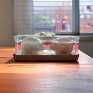 Rae Dunn Piglet Salt and Pepper Shakers in RD white and pink.  NWT